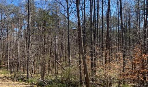Photo #5 of 8424 KILBY RD, CULPEPER, VA 5.1 acres