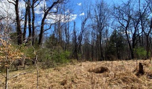 Photo #14 of 8424 KILBY RD, CULPEPER, VA 5.1 acres
