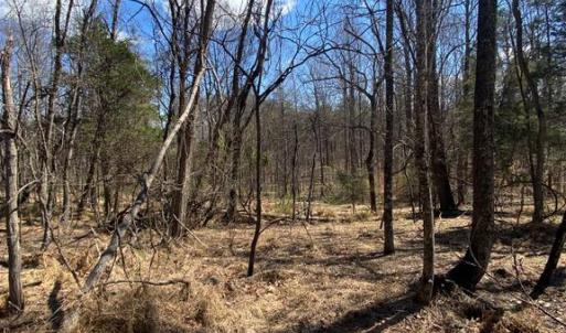 Photo #9 of 8424 KILBY RD, CULPEPER, VA 5.1 acres