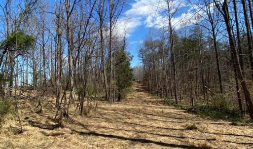 Photo #7 of 8424 KILBY RD, CULPEPER, VA 5.1 acres