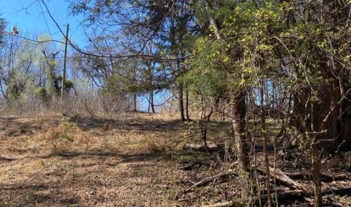 Photo #6 of 8424 KILBY RD, CULPEPER, VA 5.1 acres