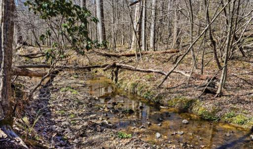 Photo #4 of LOT 7B OLD STILLHOUSE RD, BOSTON, VA 8.7 acres