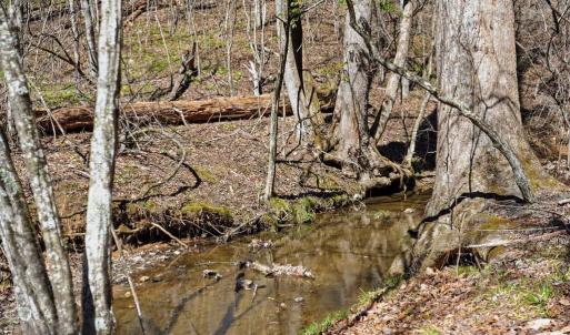 Photo #3 of LOT 7B OLD STILLHOUSE RD, BOSTON, VA 8.7 acres