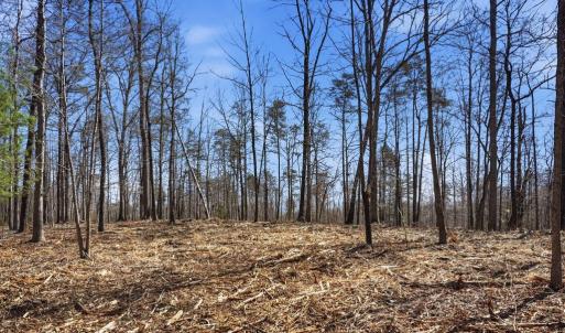 Photo #2 of LOT 7B OLD STILLHOUSE RD, BOSTON, VA 8.7 acres