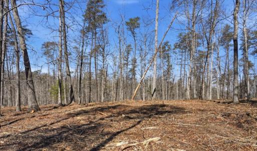 Photo #1 of LOT 7B OLD STILLHOUSE RD, BOSTON, VA 8.7 acres