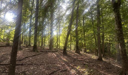 0.75 Acre Building Lots