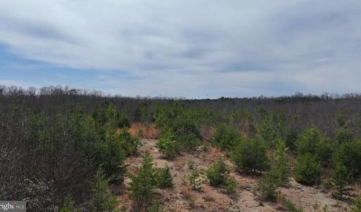 Photo #6 of WESBEY DR, LOUISA, VA 13.2 acres