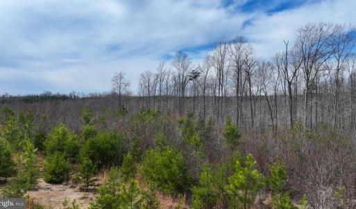 Photo #7 of WESBEY DR, LOUISA, VA 13.2 acres