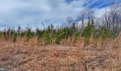 Photo #8 of WESBEY DR, LOUISA, VA 13.2 acres