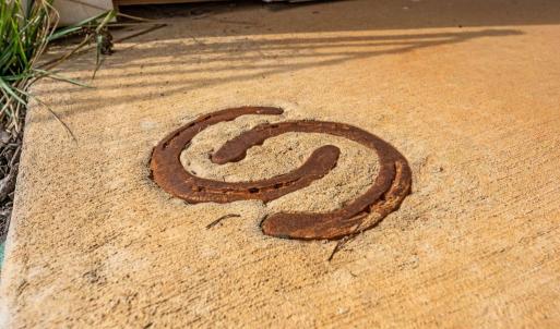 Photo #33 of 6478 LAUREL HILL LN, RIXEYVILLE, VA 8.0 acres