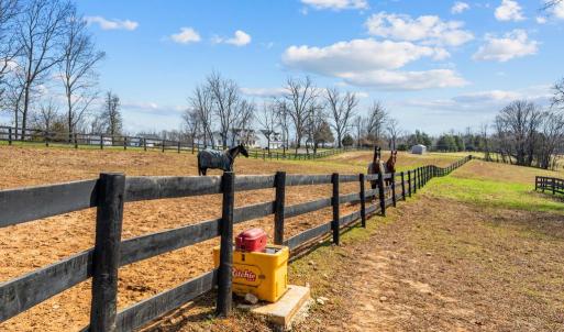 Photo #38 of 6478 LAUREL HILL LN, RIXEYVILLE, VA 8.0 acres