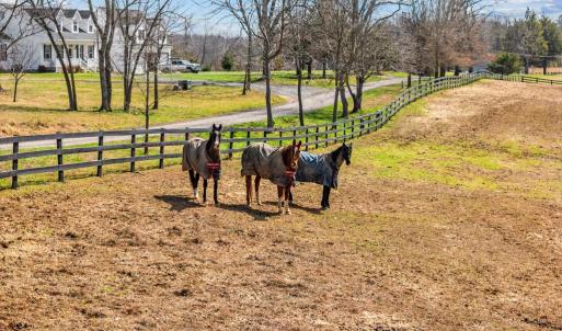 Photo #43 of 6478 LAUREL HILL LN, RIXEYVILLE, VA 8.0 acres