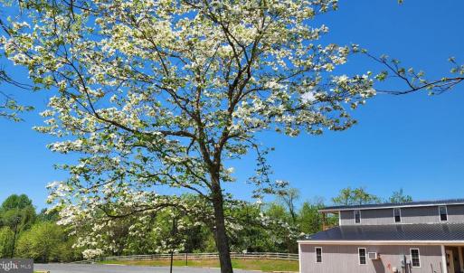 Photo #44 of 6478 LAUREL HILL LN, RIXEYVILLE, VA 8.0 acres