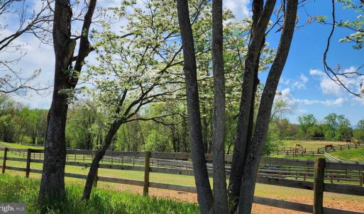 Photo #45 of 6478 LAUREL HILL LN, RIXEYVILLE, VA 8.0 acres