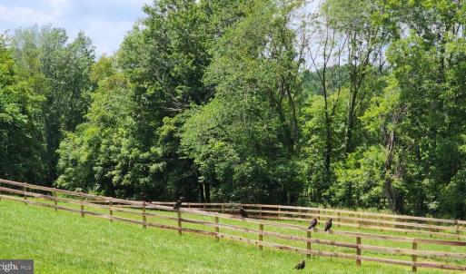 Photo #47 of 6478 LAUREL HILL LN, RIXEYVILLE, VA 8.0 acres