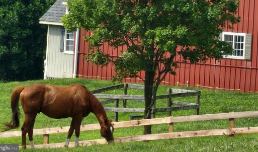 Photo #49 of 6478 LAUREL HILL LN, RIXEYVILLE, VA 8.0 acres