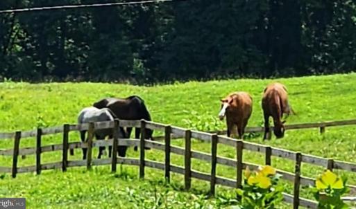 Photo #46 of 6478 LAUREL HILL LN, RIXEYVILLE, VA 8.0 acres