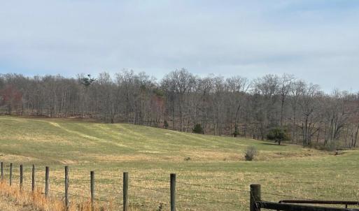 Photo #4 of UNKNOWN, AMISSVILLE, VA 100.3 acres
