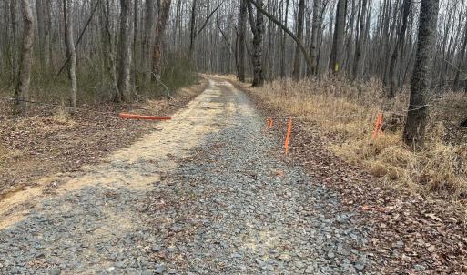 Photo #15 of UNKNOWN, AMISSVILLE, VA 100.3 acres