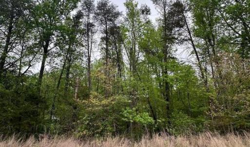 Photo #6 of PLUM TREE CIRCLE, BUMPASS, VA 1.0 acres