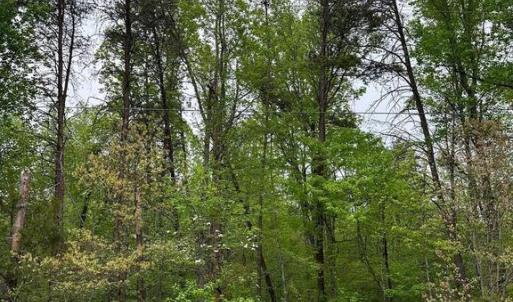 Photo #9 of PLUM TREE CIRCLE, BUMPASS, VA 1.0 acres
