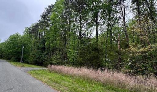 Photo #10 of PLUM TREE CIRCLE, BUMPASS, VA 1.0 acres