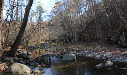 Photo #4 of 0 OVERLOOK MOUNTAIN RD, ELKTON, VA 3.3 acres