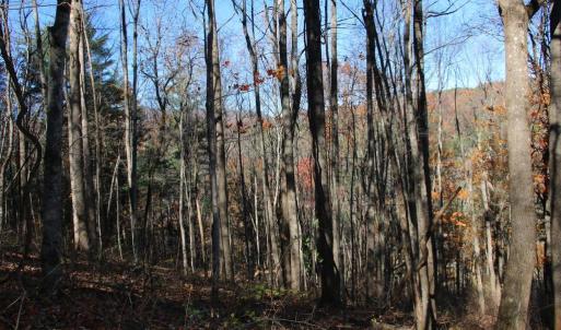 Photo #7 of 0 OVERLOOK MOUNTAIN RD, ELKTON, VA 3.3 acres