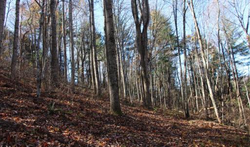 Photo #11 of 0 OVERLOOK MOUNTAIN RD, ELKTON, VA 3.3 acres