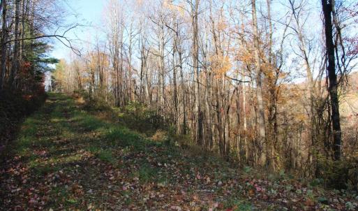 Photo #13 of 0 OVERLOOK MOUNTAIN RD, ELKTON, VA 3.3 acres