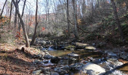 Photo #10 of 0 OVERLOOK MOUNTAIN RD, ELKTON, VA 3.3 acres