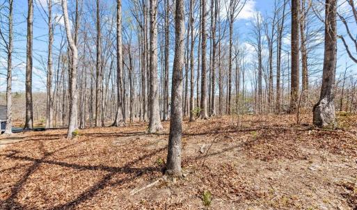 Photo #32 of DEEP CREEK CIRCLE, BUMPASS, VA 1.1 acres