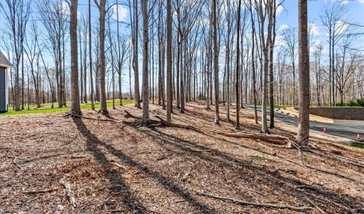 Photo #34 of DEEP CREEK CIRCLE, BUMPASS, VA 1.1 acres