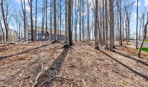 Photo #35 of DEEP CREEK CIRCLE, BUMPASS, VA 1.1 acres