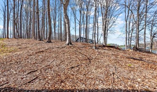 Photo #36 of DEEP CREEK CIRCLE, BUMPASS, VA 1.1 acres