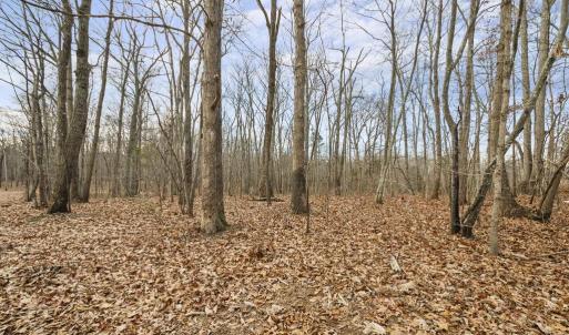 Photo #12 of 7389 LEEDS MANOR RD, MARSHALL, VA 101.0 acres