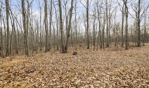 Photo #13 of 7389 LEEDS MANOR RD, MARSHALL, VA 101.0 acres