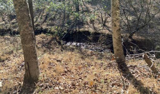Lovell Rd 4 Creek