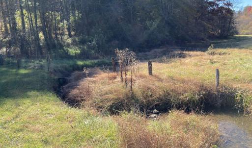 Laurel Creek 1