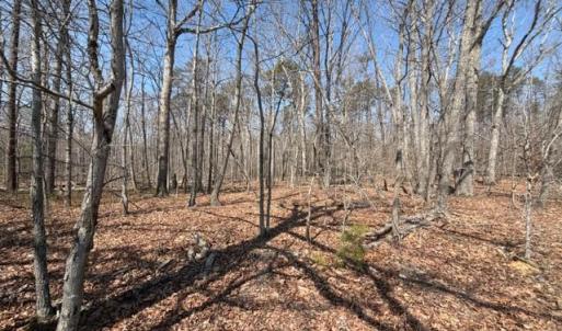 Photo #1 of COUNTRYSIDE LANE - LOT 1, LIGNUM, VA 7.3 acres