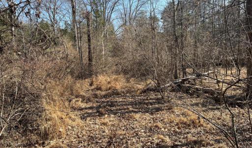 Photo #3 of 18491 CLAYHILL RD, STEVENSBURG, VA 13.0 acres