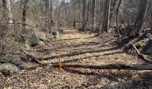 Photo #4 of 18491 CLAYHILL RD, STEVENSBURG, VA 13.0 acres