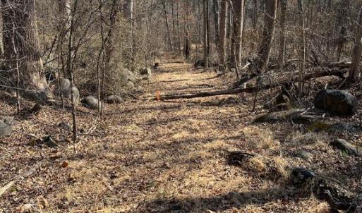 Photo #5 of 18491 CLAYHILL RD, STEVENSBURG, VA 13.0 acres