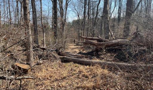 Photo #6 of 18491 CLAYHILL RD, STEVENSBURG, VA 13.0 acres
