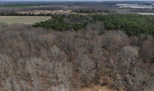 Photo #8 of 18491 CLAYHILL RD, STEVENSBURG, VA 13.0 acres