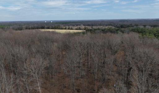 Photo #12 of 18491 CLAYHILL RD, STEVENSBURG, VA 13.0 acres