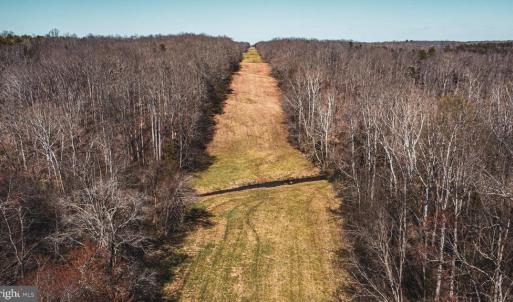 Photo #3 of COX MILL RD, GORDONSVILLE, VA 178.6 acres