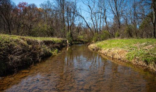 Photo #7 of COX MILL RD, GORDONSVILLE, VA 178.6 acres