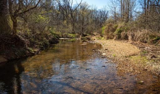 Photo #12 of COX MILL RD, GORDONSVILLE, VA 178.6 acres