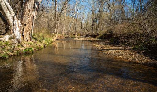 Photo #13 of COX MILL RD, GORDONSVILLE, VA 178.6 acres